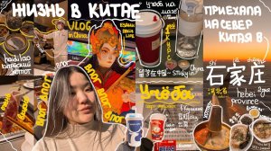 Экзамены в Китае на магистратуре, поездка на север, Китайская еда, сессия | ВЛОГ