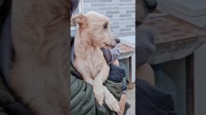 Ксюша снова с нами