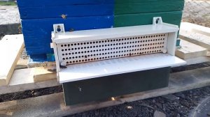 Пчелиная обножка весной. 1 апреля 2026 г. Носят преимущественно красную обножку с абрикоса и персика