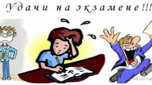 экзамены