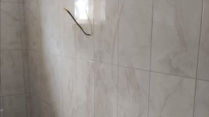 Рабочие будни охотника.Часть 1