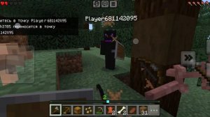 майн с другам