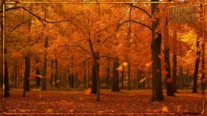 🎵_ОСТАНОВИТЕ ВРЕМЯ_ Я УСТАЛА_ _ Песня_ от которой ком в горле и слёзы в глазах