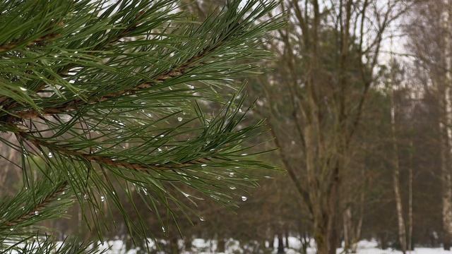 Апрельский туман