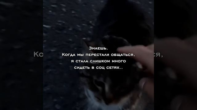 я слишком много стала сидеть в соц сетях..