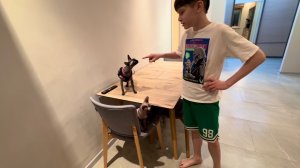 Забрала своих кисулек домой, Твикс главный, Виспа напряглась, Тиффани изучает