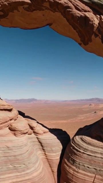 #обязательнопосмотреть #увлекательное #жизненныеуроки #развлечение #тренды #посмотретьэто