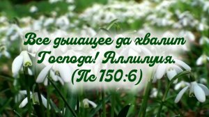 Победила навеки Жизнь! | читает: Е. Куропаткина