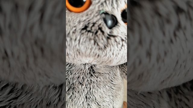 1апреля пранки басиков 😆😆😆😆😆😂😂😂😂😂😂😂😂😂🤭🤭🤭🤭🤭