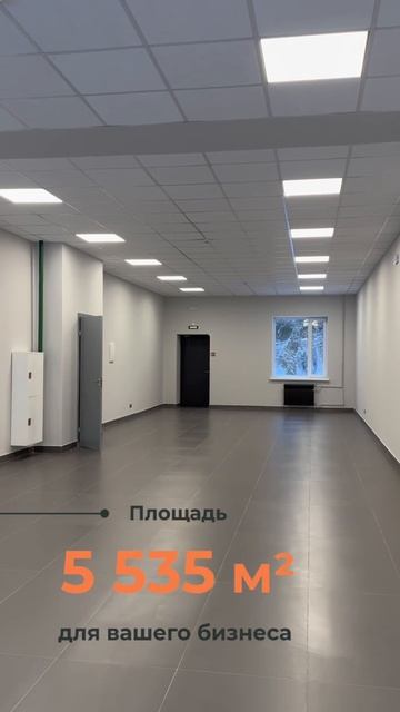 «Реформа» в Ломоносове | Манежная, 5