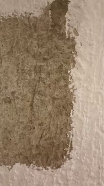 Потолочная краска для стен в гараже