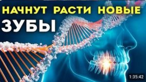 Матрица Гаряева для Восстановления Зубов Звуком☀️ Квантовое Исцеление Зубов