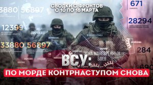 ВСУ по морде контрнаступом снова