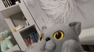 кот батон и самолёт