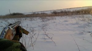 Охота на зайца 10.01.26