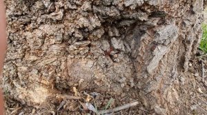 2часть Треш на детской площадке 👹🤡👺