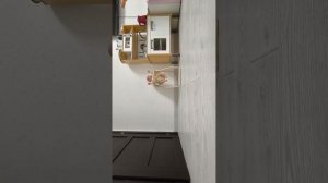 вечерниц влог с дианой