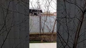 трансляция