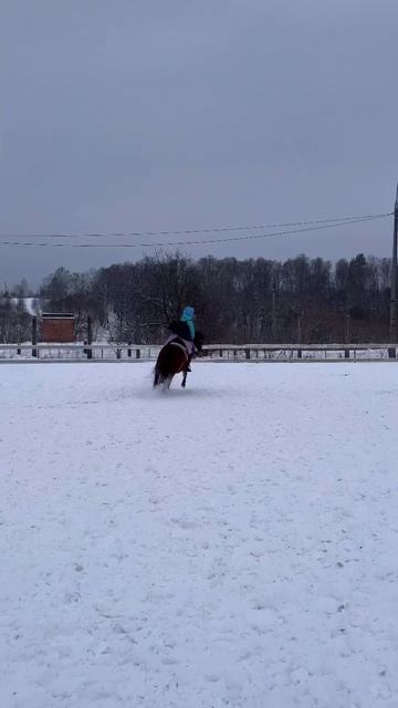 #equestrian #equestrianlife #horse #конныйблог #конныйспорт #конкур #лошади #конныймир #лошадки