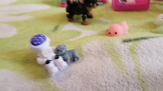 1 часть приют #17 собачки приключения 🐕🐕🦮🐕🦺