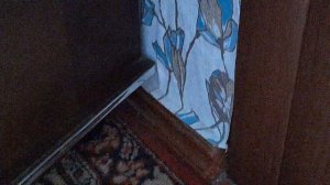 LPS: отправились в заброшенный дом.