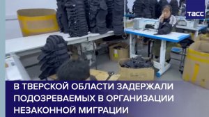 В Тверской области задержали подозреваемых в организации незаконной миграции