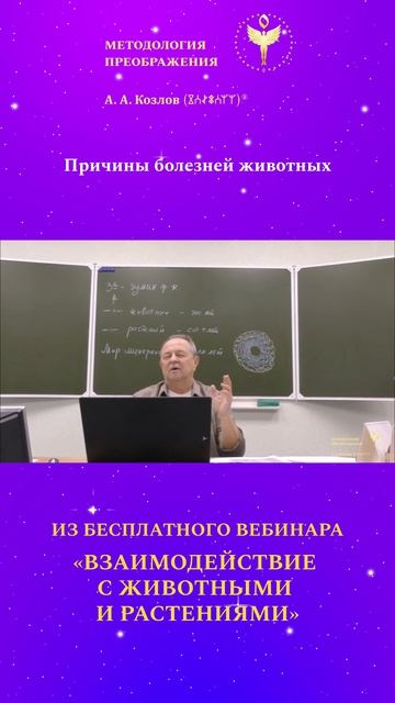 Причины болезней животных 01. Ведёт Александр Козлов - автор Методологии Преображения.