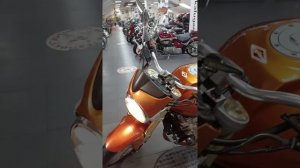 HONDA CB600F (2005) золотой