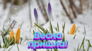 Футаж. Весна пришла 24