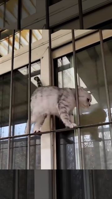 VID_20260401_121815_773