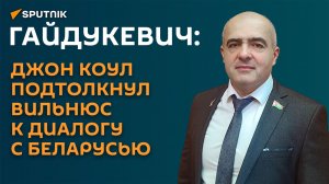 Гайдукевич: Джон Коул подтолкнул Вильнюс к диалогу с Беларусью