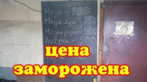 Сдал металл. Цена на металлы.