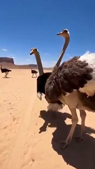 Во я угораю))))))