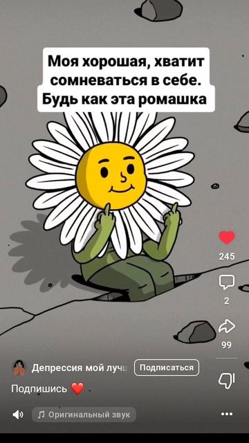 расцветай как и ромашка 👍👌🩷😀😃💞