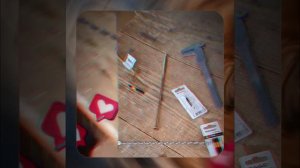 1000054556.mp4 (Собака наблюдает за устройством лестницы на 2-ой этаж в доме А-фрейм)