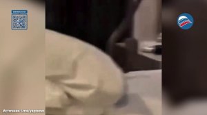 Кобра в кровати: утренний ужас в Таиланде