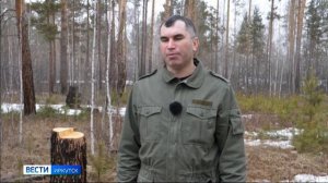 Две незаконные рубки и свалку со шкурами животных обнаружили в Иркутской области