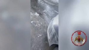 В Оренбурге при силовой поддержке Росгвардии задержан подозреваемый в убийстве