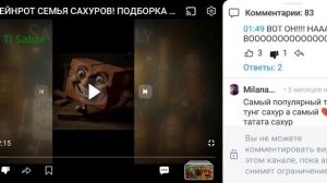 Вот этот малолетка давным давно запретил мне писать коммы и у него есть подсоска канал мемов поняли