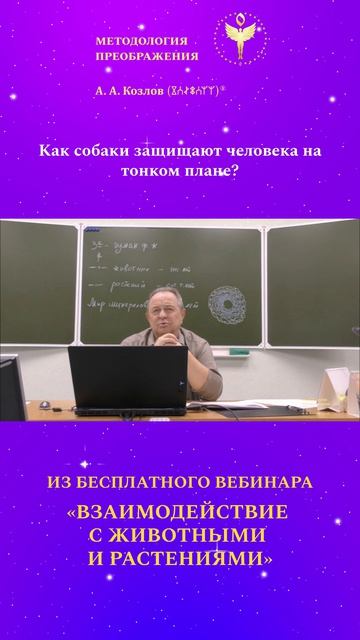 Как собаки защищают человека.