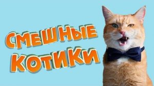 ЛЯПЫ_в_прямом_эфире_#9_подборка_приколов_в_прямом_эфире