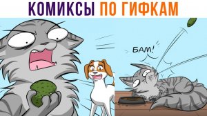 КОТА ДОВЕЛИ))) Комиксы по гифкам
