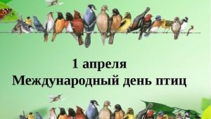 1 апреля международный день птиц.  #Птицы