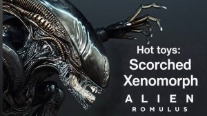 Hot toys: Scorched Xenomorph (Alien: Romulus)