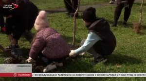 В детском саду "Солнышко" воспитанники вместе с родителями посадили несколько яблоневых саженцев