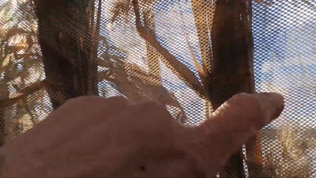 часть1.Охота на селезня с подсадной. Дождались разлива . Два скрадка . 12.05.25