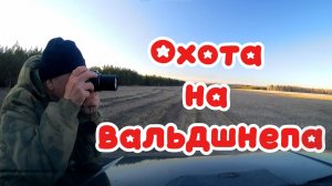 Тяга вальдшнепа