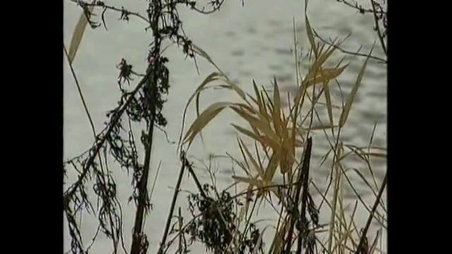 Монолог-Олег Рожков