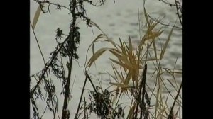 Монолог-Олег Рожков