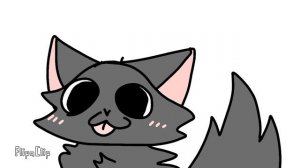 пусть этот котейка поднимет тебе настроение 🐱❤️